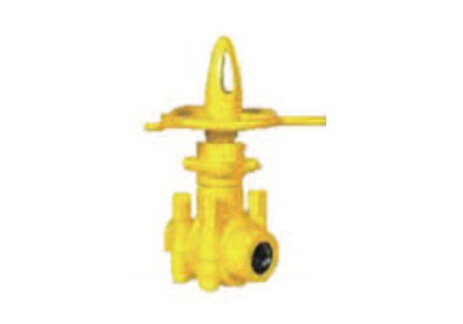 OTECO STYLE GATE VALVES